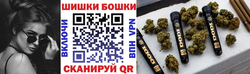 Каннабис индика  Лениногорск 